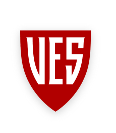 Car Magnet - VES Shield
