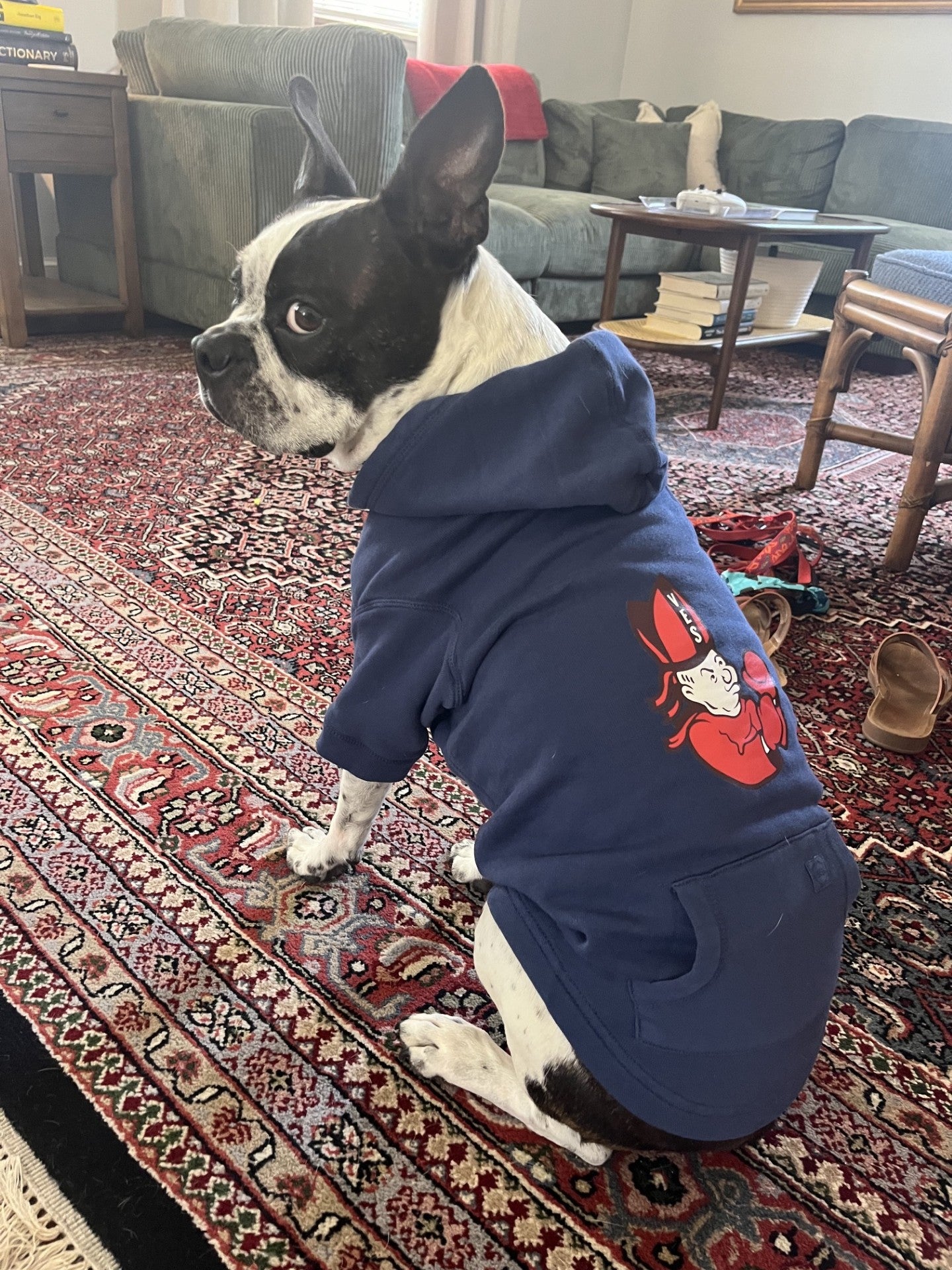 Dog Hoodie